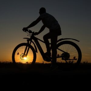 E-Bike Thunder